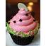 Review Watermelon Cupcake At Disneys Contempo Cafe  The Disney Food Blog