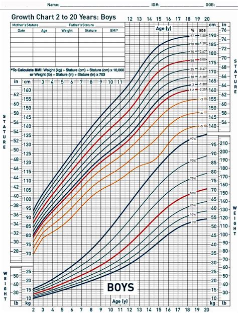 Baby Growth Chart Explained Ababyw