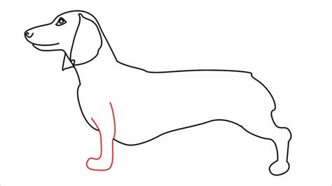 How To Draw A Dachshund Step By Step 13 Easy Phase