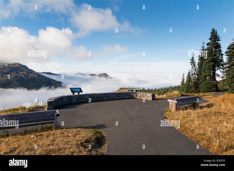 Scenic View Overlook Along The Hurricane Ridge In Olympic National