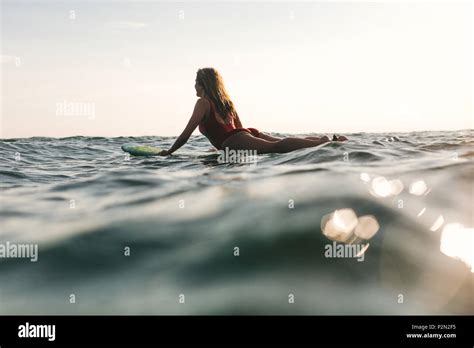 Woman Surfer Lying On Surf Board Hi Res Stock Photography And Images