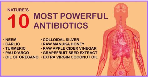 10 most effective natural antibiotics known to man