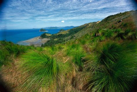 Molle Islands National Park | Parks and forests | Department of Environment and Science, Queensland