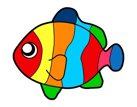 Fish Dibujo Imagui