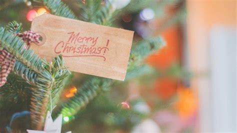 Tahun ini hari natal jatuh pada jumat, 25 desember 2020. Bingkai Foto Ucapan Natal 2020 / Natal Bingkai Unduh Gratis Dekorasi Natal Bingkai Foto Natal ...