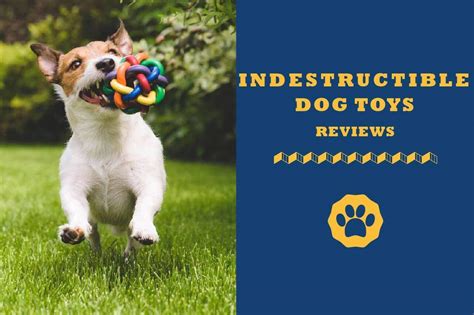 5 Best Indestructible Dog Toys For All Kinds Of Chewers 2021 Edition