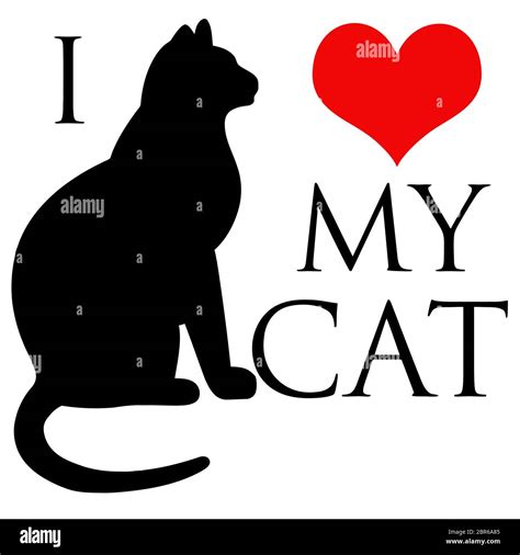 I Love My Cat Animal Pet Heart Illustration Stock Photo Alamy