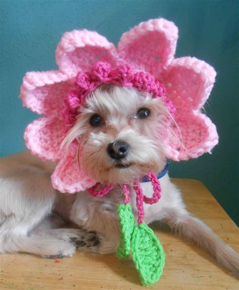 Crocheted Flower Hat For Dog Or Cat Pink Flower Hat For Pet Spring