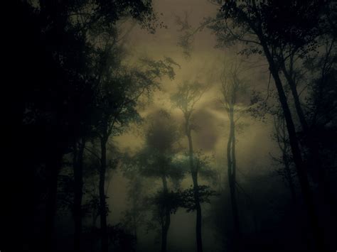 Evil Forest By Syntheticbloob On Deviantart