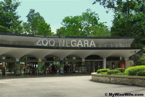 Rated 4.20/5 ( based on 535 reviews ). Zoo Negara near KL. Nice place to take a look at some ...