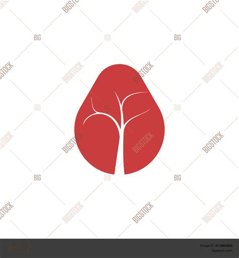Leukemia Icon Blood Vector And Photo Free Trial Bigstock