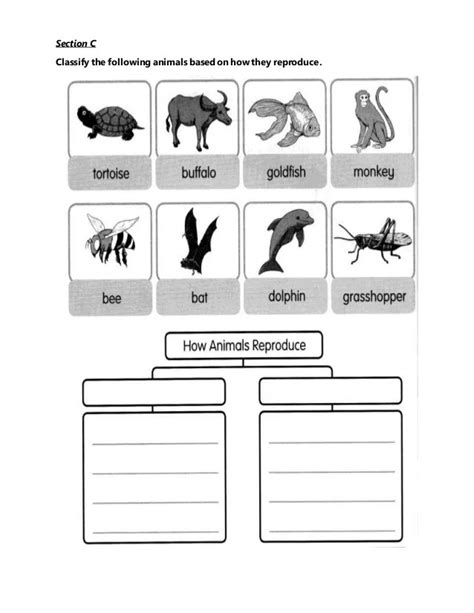 Animals Science Year 2 Dlp Worksheet Year 2 Science Animals Including