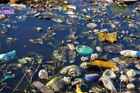 Top 10 Most Plastic Polluted Rivers In The World 2019 Thaiger