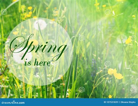 Fresh Spring Background Concept Greeting Card With The Inscription