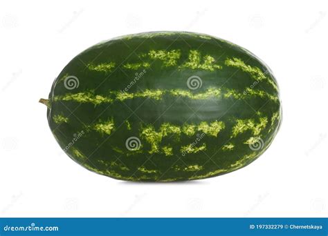 Delicious Ripe Long Watermelon Isolated On White Stock Image Image Of