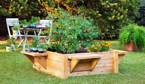 How To Start A Home Vegetable Garden The Dedicated House Raised
