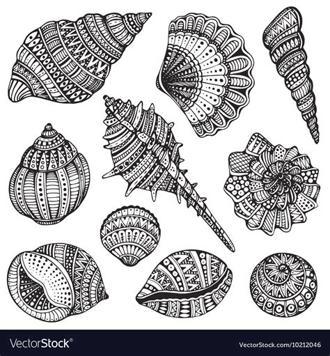 Set Of Hand Drawn Ornate Seashells Royalty Free Vector Image