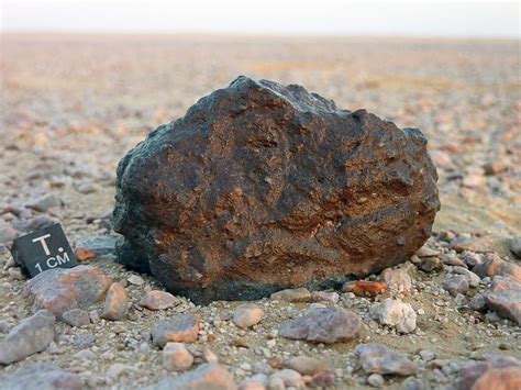 Lunar Meteorite 292g Dhofar 1766 In Situ Podróżowanie