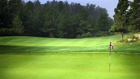 Locally owned & operated pest control done right. Vote for the Top 7 golf courses in Upstate SC