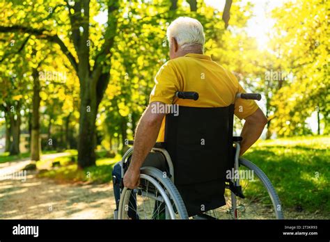 Senior Handicapped Man Sit In Wheelchair During Walk In Park Mature