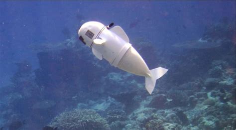 Mit Built A Remote Controlled Robot Fish Thats Helping Us Save Our