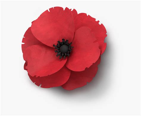 Poppy Flower Veterans Day Remembrance Poppy Png Free Transparent