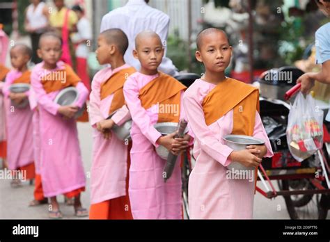 Young Girl Monks With Rice Bowls Yangon Rangoon Myanmar Burma Asia