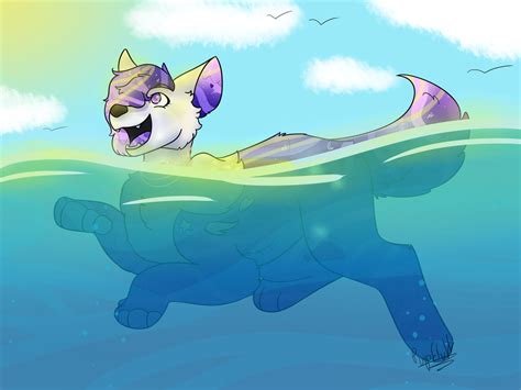 Full Do Not Submit To This Folder On Water Dog Love Deviantart