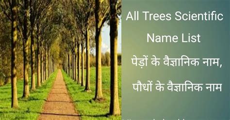 All Trees Scientific Name List