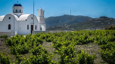 Experience Santorini Wine Tours Astarte Suites Santorini