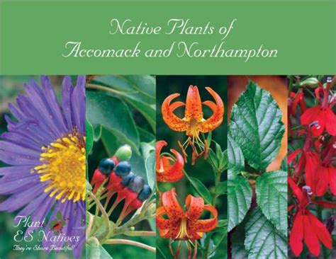 Virginia Native Plant Guides Virginia Native Plant Society