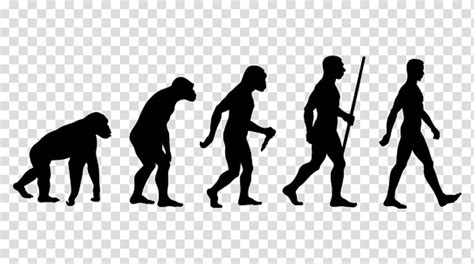 Human Evolution Ape Neanderthal Introduction To Evolution