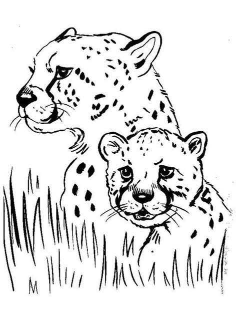 Https://tommynaija.com/coloring Page/zoo Animals Coloring Pages Pdf