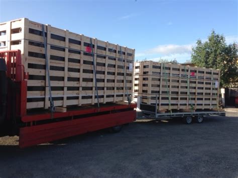 Wooden Shipping Crates Pope Packaging Nz