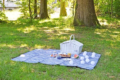 Tipps Für Das Perfekte Sommer Picknick The Chic Advocate