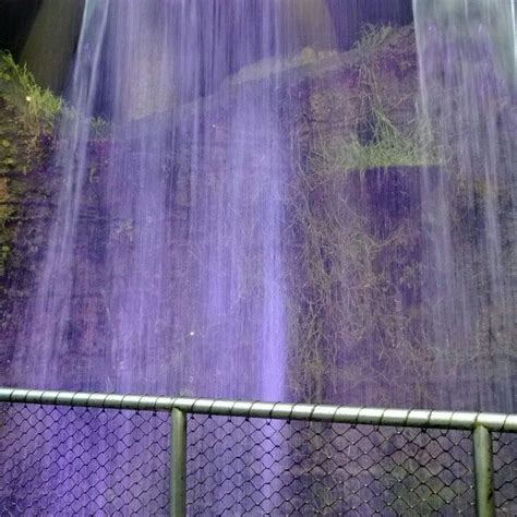 Purple Waterfall Gardens By The Bay Waterfall Forest