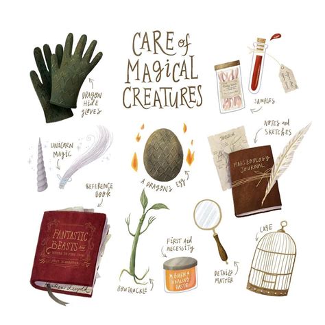 Harry Potter Care Of Magical Creatures Care Of Magical Creatures