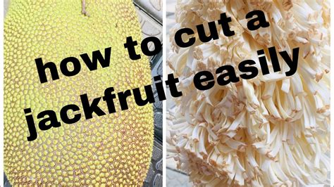 Amazing Jackfruit Cutting Skillshow To Cut Easy Way Ummis Yummy