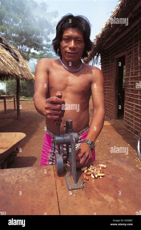 Xingu Indian Fotos Und Bildmaterial In Hoher Auflösung Seite 3 Alamy