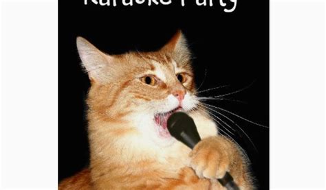 A cute and funny birthday song ecard. Birthday Cards with Cats Singing Singing Cat Greeting Card ...