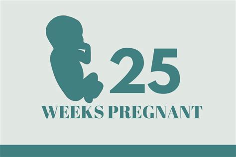 25 Weeks Pregnant Symptoms And Body Changes That Occurs To Mother