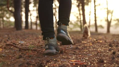 Hiker Feet Walking Dog Park Forest Stock Footage Video 100 Royalty