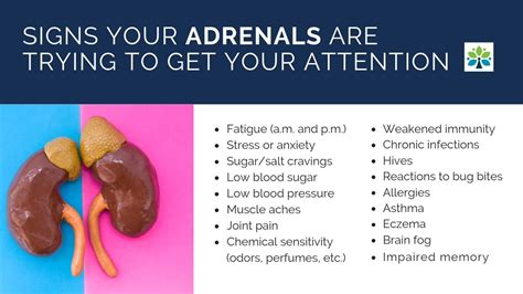Adrenal Fatigue Waking Up In The Middle Of The Night