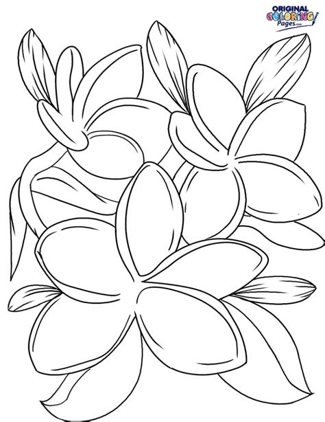 Take a trip to the beach. Flowers | Coloring Pages - Original Coloring Pages