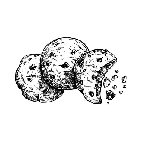 Chocolate Chip Cookies With Crumbs Top View Hand Drawn Sketch Style