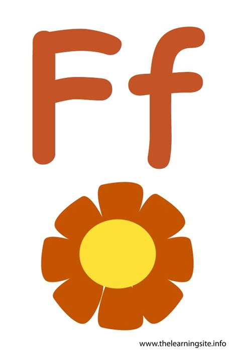 Letter F Flashcard Flower The Learning Site