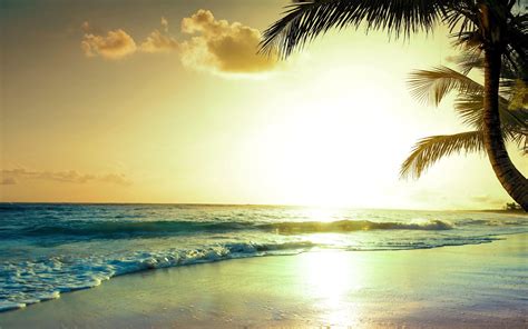 Tropical Beach Sunset Hd Wallpaper
