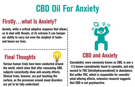 Which cbd oil should you use for anxiety? Taking CBD Oil for Anxiety - WORKS New Guide | Cheef ...