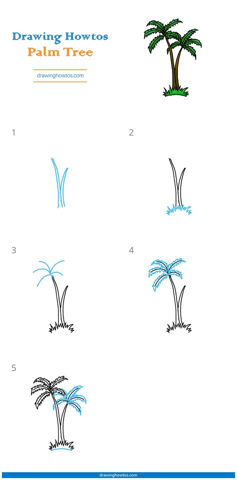 How To Draw Palm Trees Step By Step Easy Drawing Guides Drawing Howtos