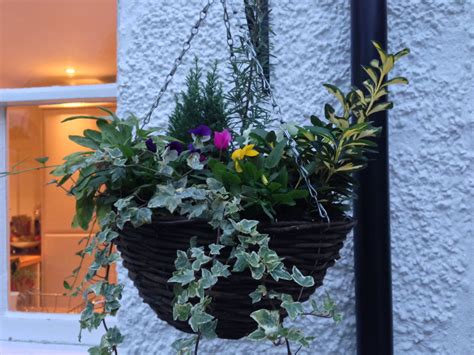 Fantastic Autumn Winter Flowers For Hanging Baskets Plants On Walls Indoors